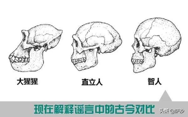 美国捕获的翼龙，有没有一种飞行动物可以被人类当做坐骑在天空飞翔？