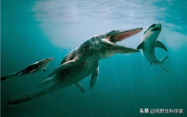 男子将狗吊树上虐杀:动物界存在（除人类外）“虐杀”现象吗？为什么？