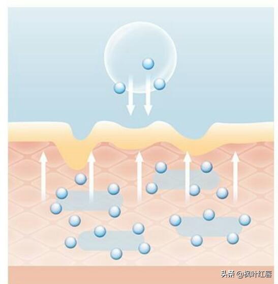 化妆水是不是爽肤水:化妆水和爽肤水什么区别有什么作用
