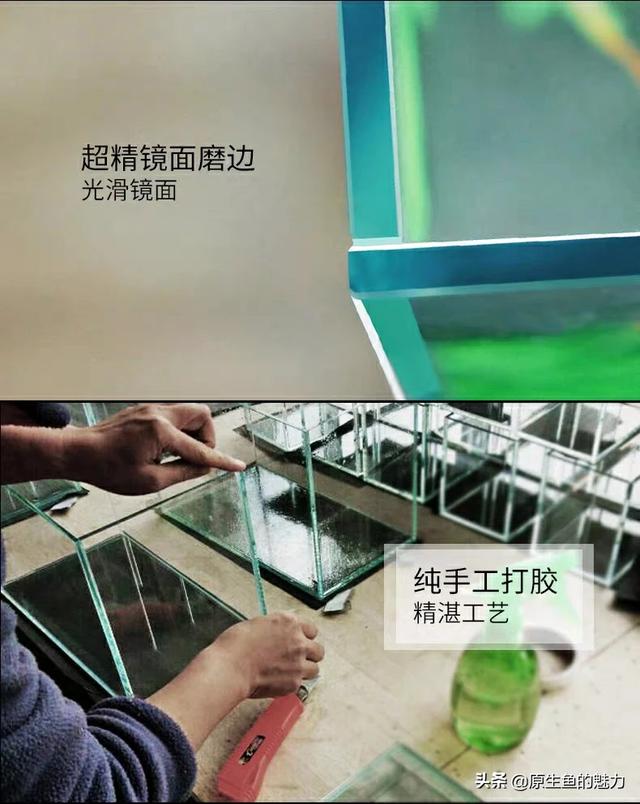 蓝天酵素菌:鱼缸加酵素影响消化菌吗？ 央广酵素价格表