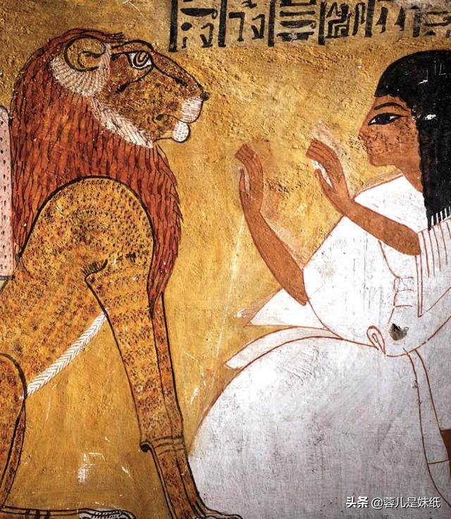 埃及考古重大发现，埃及古代墓葬喜欢用动物木乃伊陪葬，究竟为何