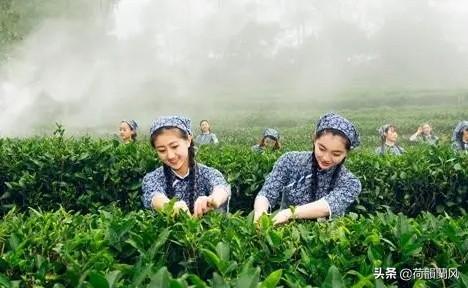 你遇到过绿茶女吗？有哪些故事？