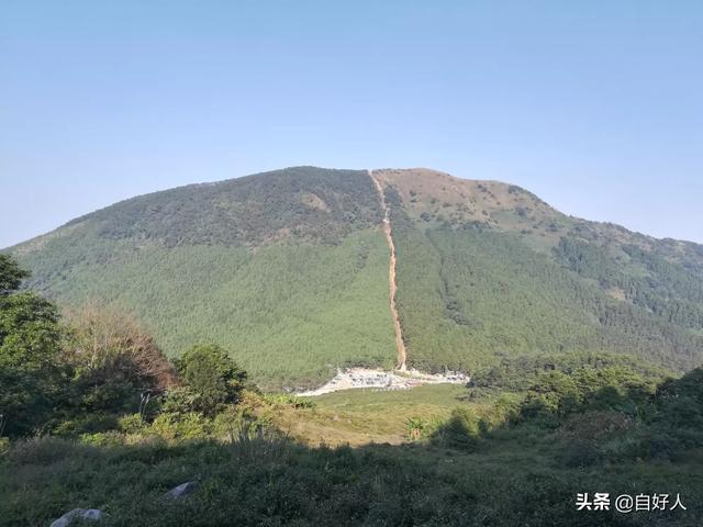 中介不付租金,到哪里可以维权？