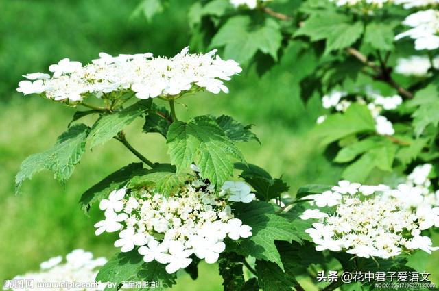 现实社会中怎么样才能认清朋友