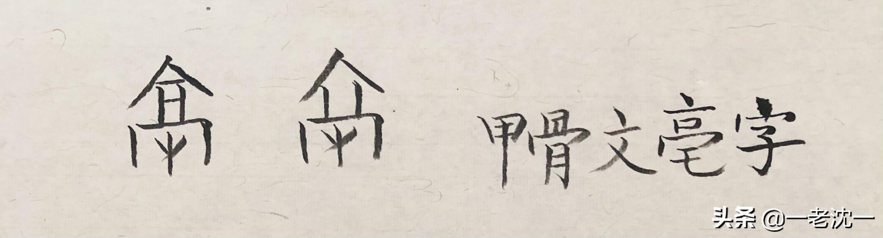 金钱白花蛇图片中药:金钱白花蛇的图片 头上一点黑一点白的蛇是什么？