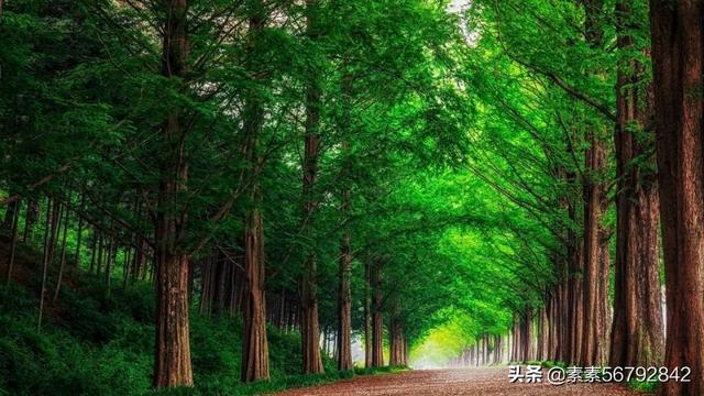 中国游客在马来西亚清真寺前跳舞被处罚，这事你怎么看？:清真寺是什么教 第3张