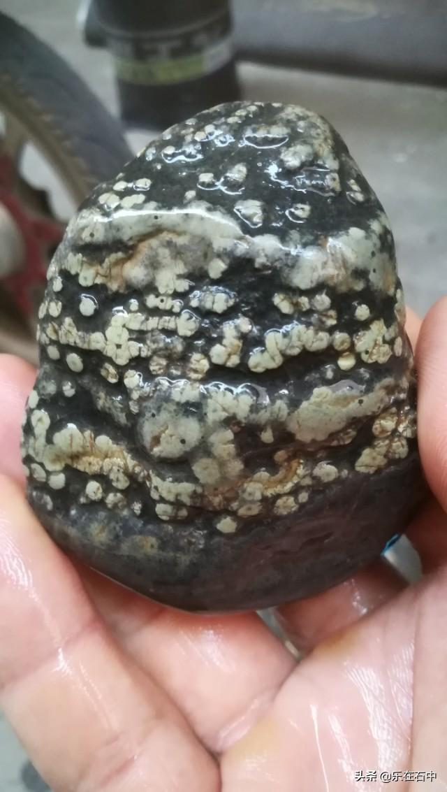 晒晒你的文玩宝贝。都是怎么保养的？插图105