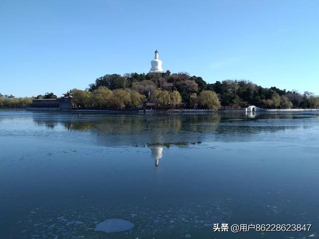 地球上的森林增加10倍后会发生什么？