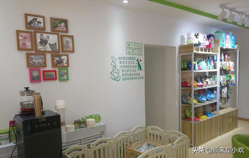 小小宠物店:宠物店的经营范围有哪些？