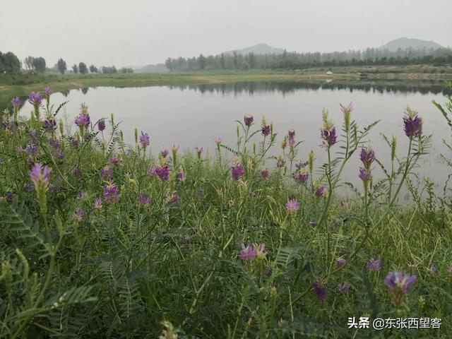 格律诗词中的那些韵律的标准是哪些古人规定的？