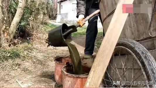 人粪尿做肥料使用的时候 需要注意什么问题 三六五说三农的回答 头条问答