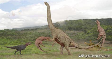 河马vs牛鲨:霸王龙和棘背龙哪个厉害？