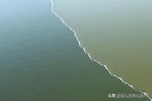 海乐妙:太平洋与大西洋交界处的海水为什么不会融合？