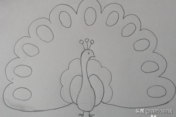 孔雀简笔画,孔雀的简笔画带颜色步骤？