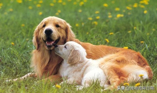 接头暗语:电视剧《风筝》中，如何看待四哥被抓透露接头暗号？