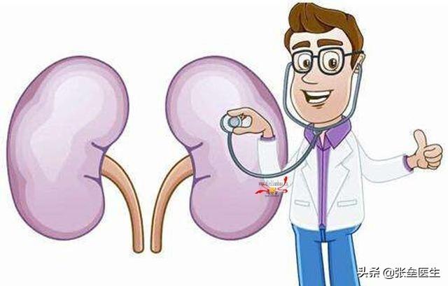 肾脏有病尿常规显示什么;肾脏病变尿常规有什么异常