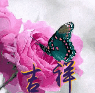 谢霆锋的音乐与电影你更喜欢哪个？为何？