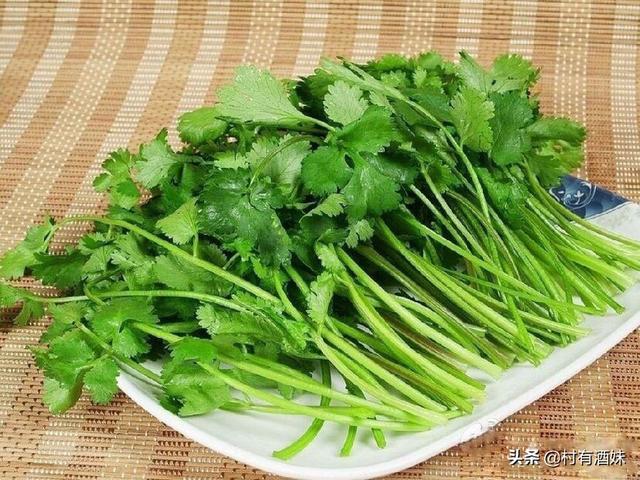 俊介君是什么品种:这株多肉是什么品种？应该怎么养？ 俊介君是什么狗种