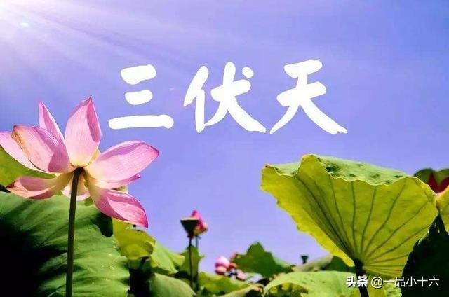 闰四月加两头春,今年什么时候最热？三伏天旱还是涝？