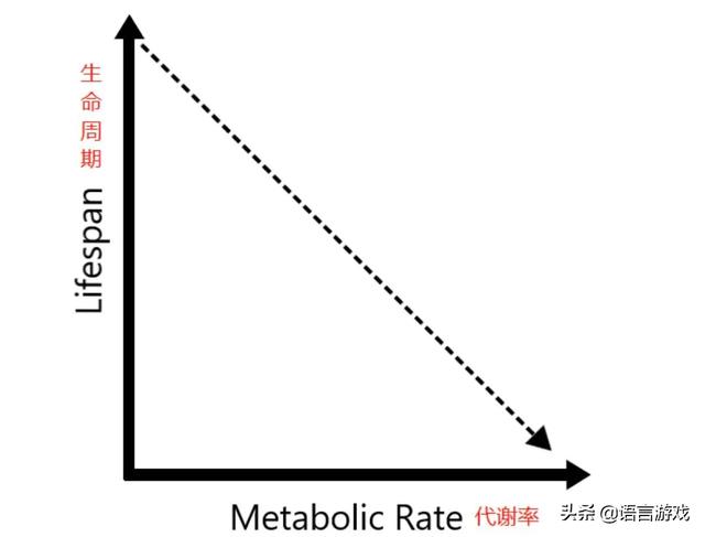 知道乌龟为什么能活那么久:乌龟为什么会有很长的寿命？