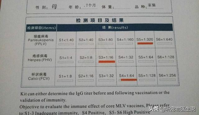 猫做抗体检查需要多少钱:猫三联后，做抗体检测有必要吗？