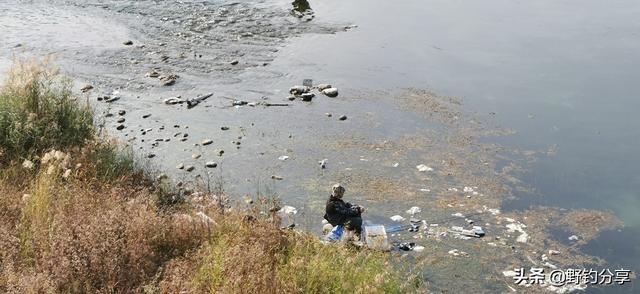 头条问答 水底有草再加铅跑铅钓可以吗 该怎么做 曾经的的回答 0赞