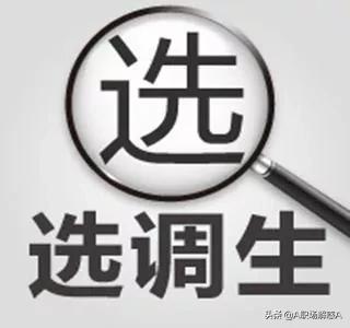 研究生准备考选调生应该从什么时间准备呢？