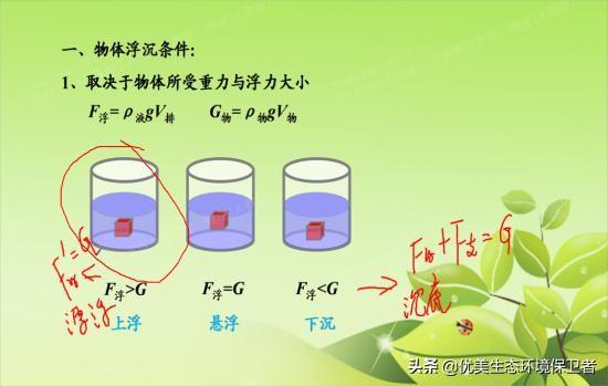 海底动物世界全集:海洋里的动物，谁是名副其实的潜水冠军？