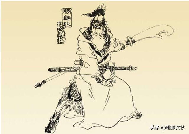 杨再兴:杨再兴是杨家将的后代吗？