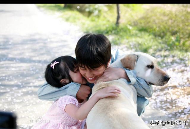 101只真狗百度云:有什么讲人与猫、狗之间的感情的电影啊？