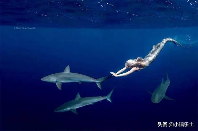 美人鱼化石:世界上真的有美人鱼的存在吗？