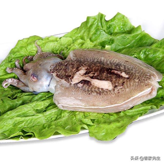 头条问答 - 买墨鱼看什么才能知道墨鱼有没有发过?(3个回答)