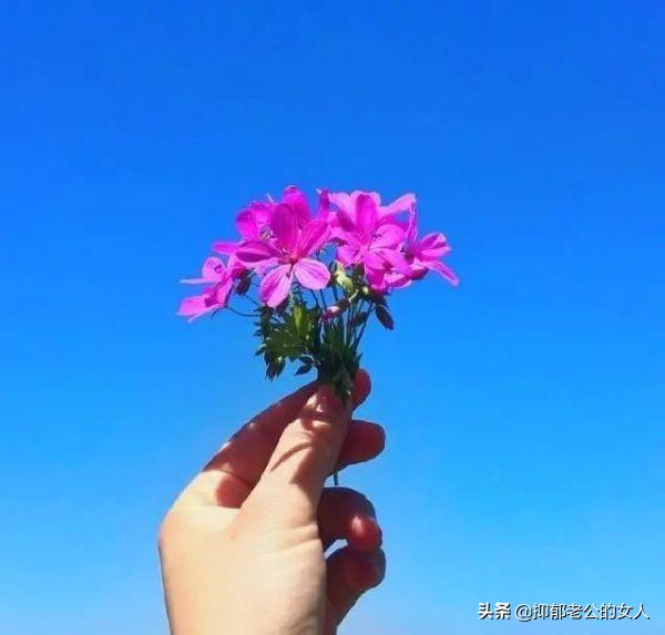 请问如果美国封禁了微信，我们应该如何和国外的朋友联系