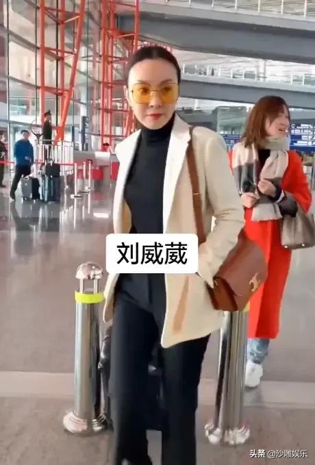 张嘉译的妻子是谁呀:张嘉译前妻央视才女刘威葳，恋过孙红雷，如今现状怎么样？