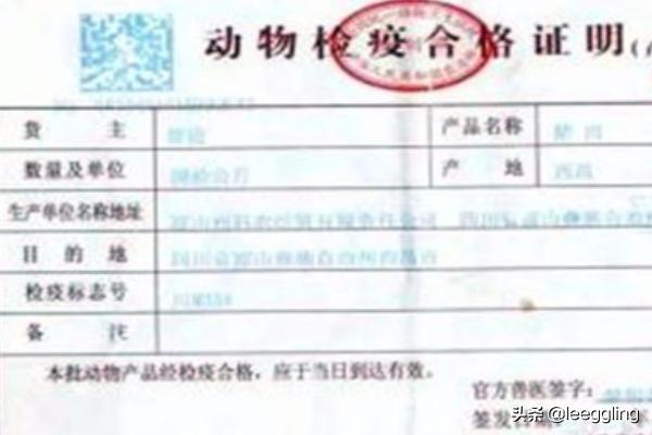 宠物托运流程:宠物托运上飞机前需要办理手续和流程？