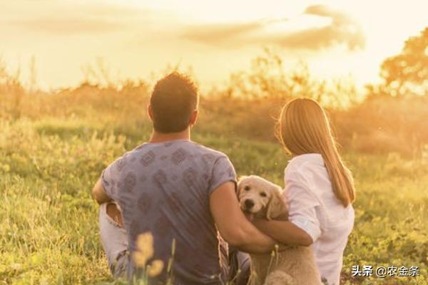 螨虫怎么治疗(螨虫要怎么杀死)