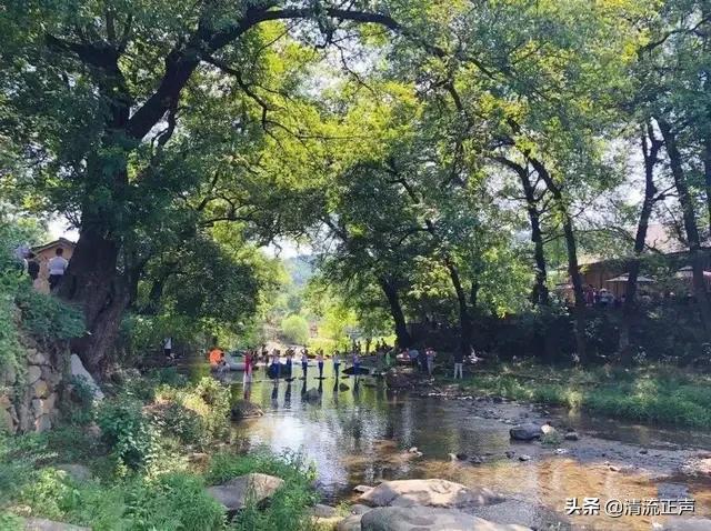 关于夏天,您还能背诵多少首描写它的古诗词呢？