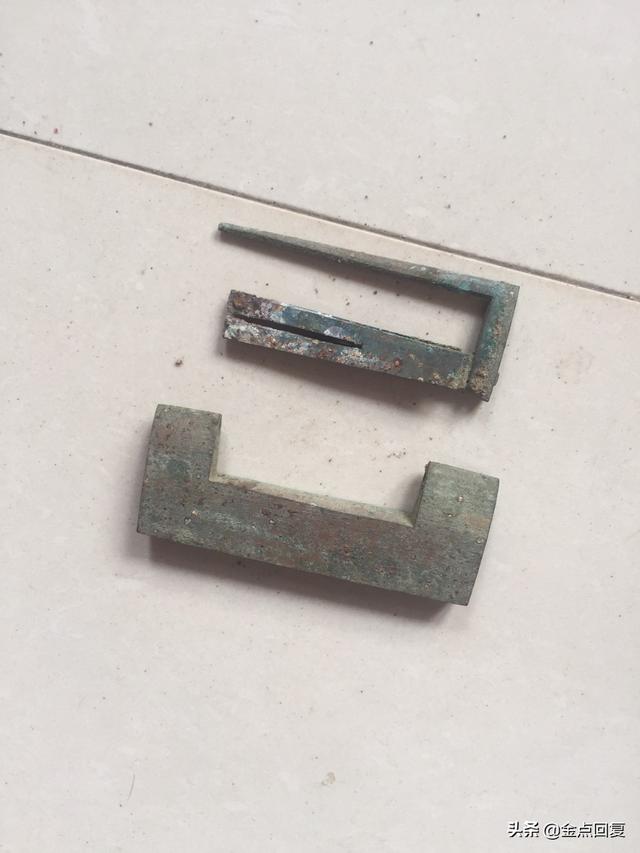 宠物狗尸体埋小区引热议:狗狗死后为什么不能埋，狗狗死后怎么安葬？
