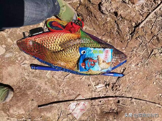 哪里可以买到软骨鲫鱼:什么叫软骨鲫 有没有适合武汉地区鱼类的好用的钓鱼小药推荐？