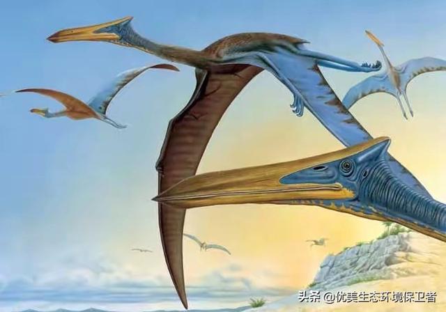 翼龙还活着吗，翼龙可以飞，为什么还是没逃过恐龙大灭绝呢