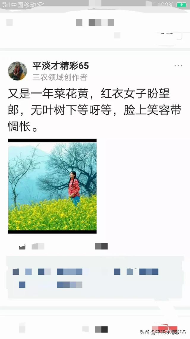 你曾写过哪些难忘的诗词？插图34