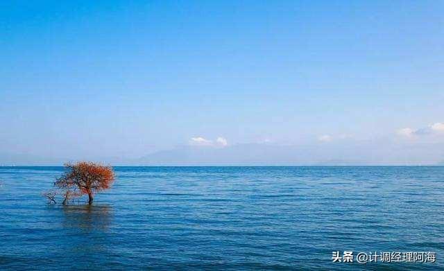 一个人旅行不会做攻略(一个人旅行不会做攻略怎么办)