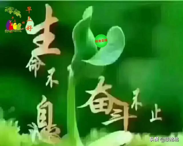 学会自我调节情绪说说:内心压抑的时候怎么办？如何自我调节？(内心很压抑怎么办)