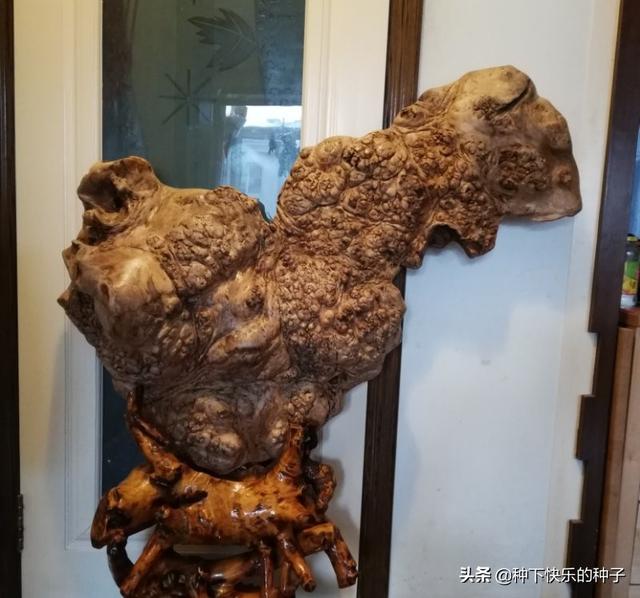 观音菩萨显灵:小时候你听老人讲过哪些长大后一直忘不了的神奇故事