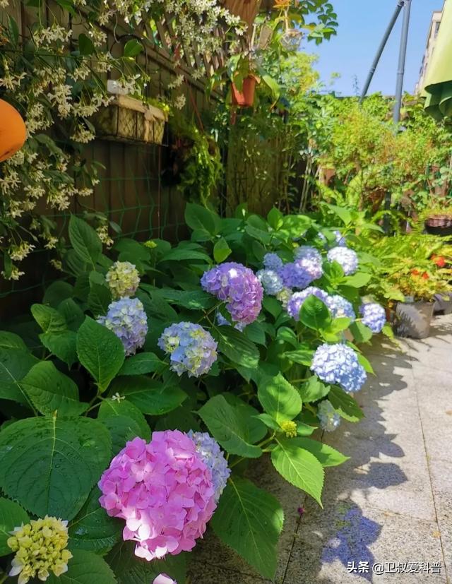 家住别墅是什么样的感觉？插图104