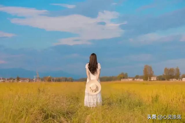 布雷先生简历:特朗普卸任后，福奇博士为何笑得这么开心？