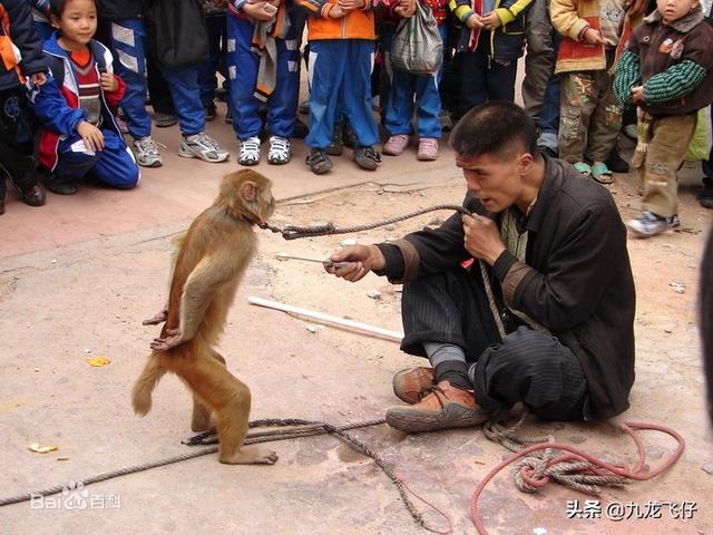 为什么会产生直播打赏这个功能？你会给主播打赏吗？金额允许范围是多少？