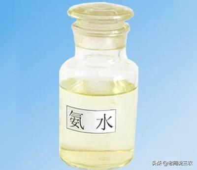 一条反刍的狗 下载:狗明明鼻子那么灵，为什么翻垃圾或者吃粑粑不会觉得受不了？