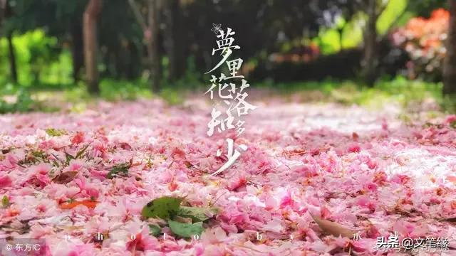 总是事与愿违怎么办？如何改变它？
