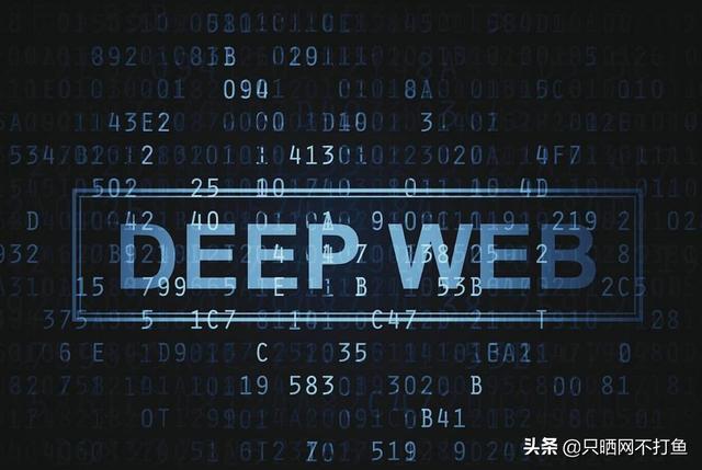 为什么暗网里这么多违法的东西FBI不顺藤摸瓜呢？